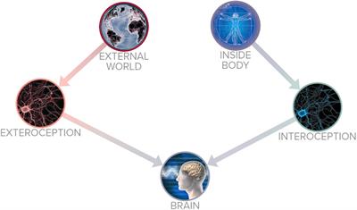 Yoga and pain: A mind-body complex system